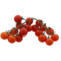 TOMATE CERISE GRAPPE 3KG